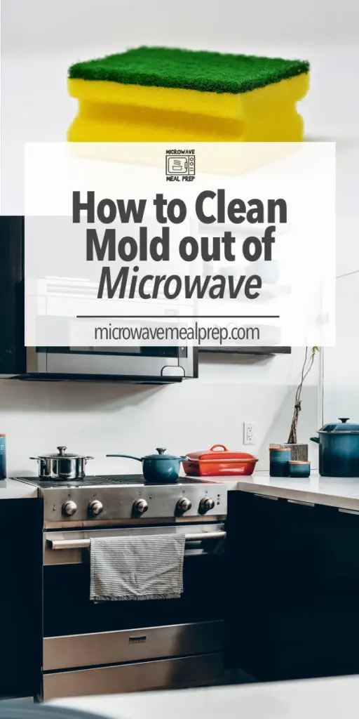 How to clean mold out of microwave.