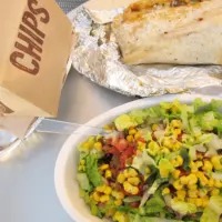 Ultimate guide to reheat Chipotle in the microwave.