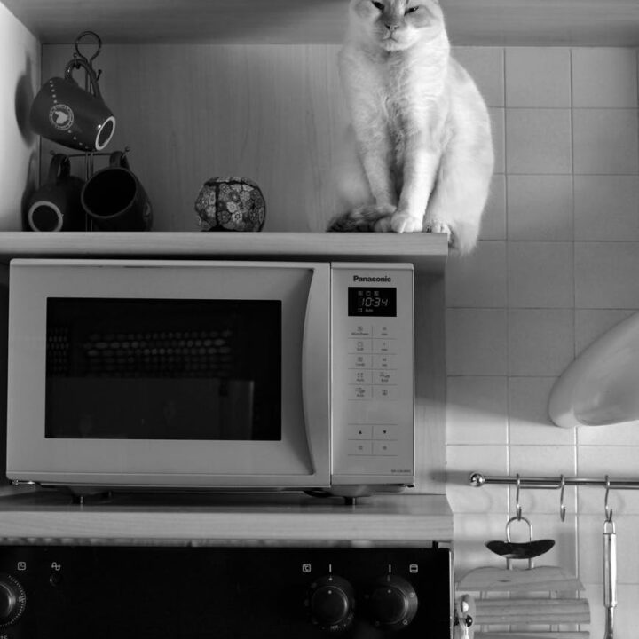 Tips To Use a Microwave Safely
