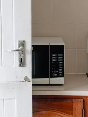 Microwave air fryer combo
