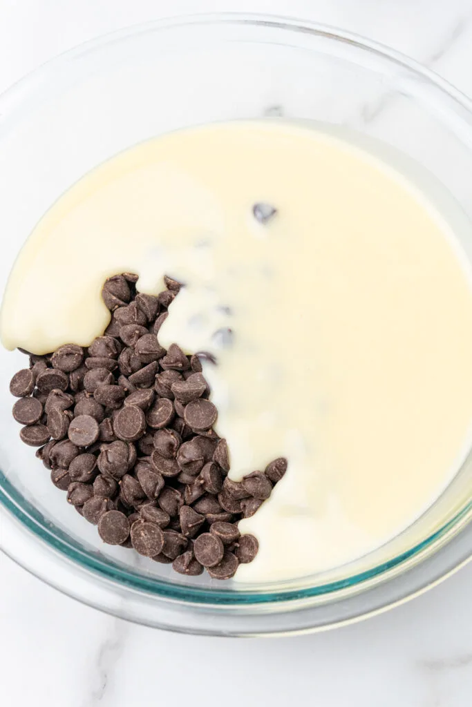 Condensed milk and chocolate chips.